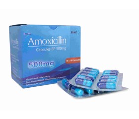 Amoxicillin Capsules BP 500 mg ( Blister )