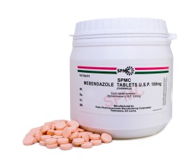 Mebendazole Tablets USP 100 mg