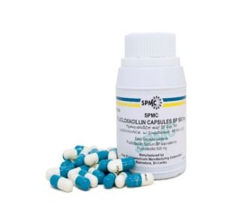 Flucloxacillin Capsule BP 500 mg